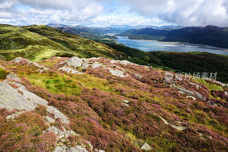 Afon Mawddach, mount Moorland，威尔士